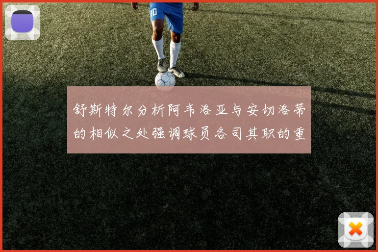 舒斯特尔分析阿韦洛亚与安切洛蒂的相似之处强调球员各司其职的重要性