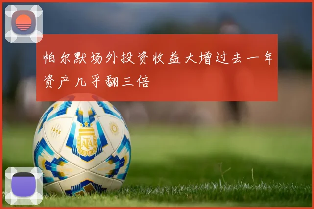 帕尔默场外投资收益大增过去一年资产几乎翻三倍