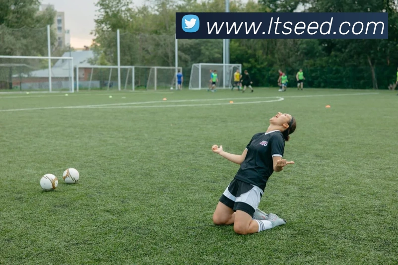 奖项2